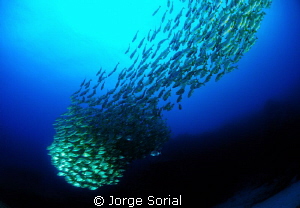 Underwater comet by Jorge Sorial 
